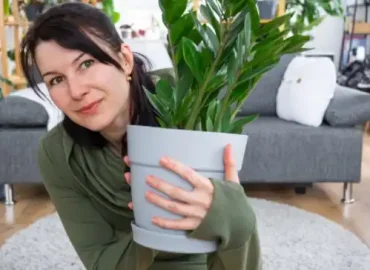 Pflanzenbasierte Ernährung: 5 Vorteile für dein Leben