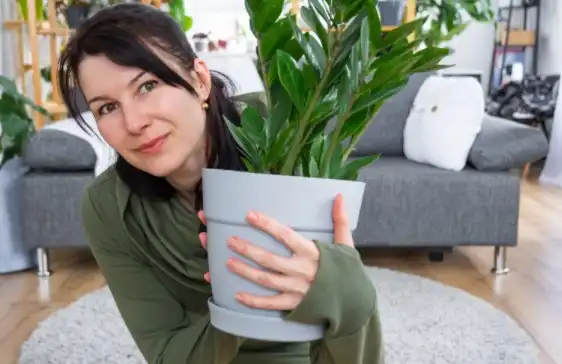 Pflanzenbasierte Ernährung: 5 Vorteile für dein Leben